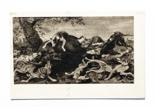 STARA POCZTÓWKA - FRANS SNYDERS, POLOWANIE NA DZIKA l. 50