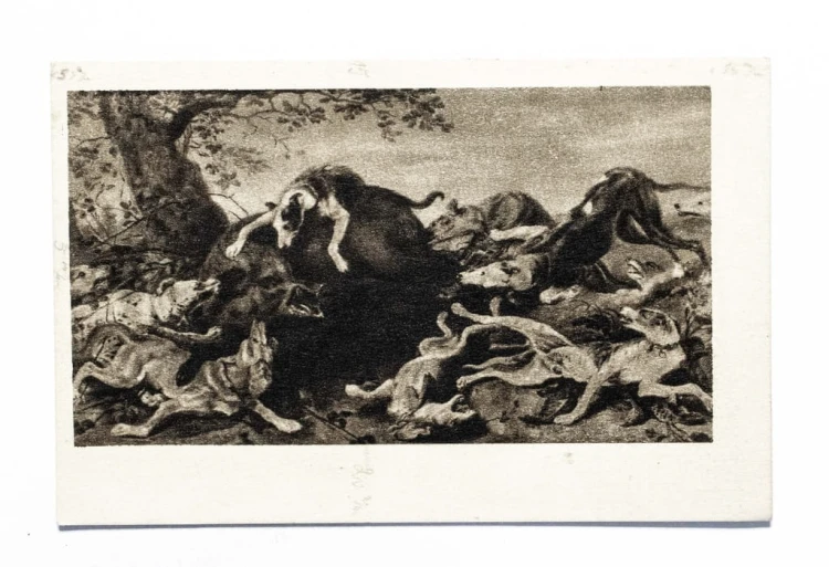 STARA POCZTÓWKA - FRANS SNYDERS, POLOWANIE NA DZIKA l. 50