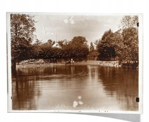 STARA FOTOGRAFIA - SPÓŁKA WODNA, REGULACJA MAŁEJ MOGILNICY, PODRZEWIE 1930