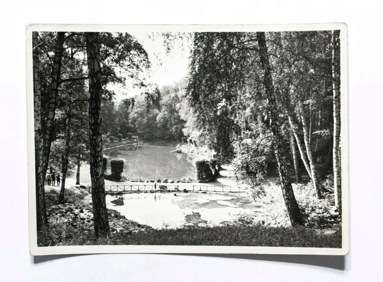 TORUŃ - STAW W PARKU MIEJSKIM l. 70