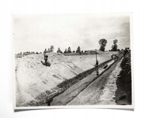 STARA FOTOGRAFIA - SPÓŁKA WODNA, REGULACJA MAŁEJ MOGILNICY, PODRZEWIE 1930