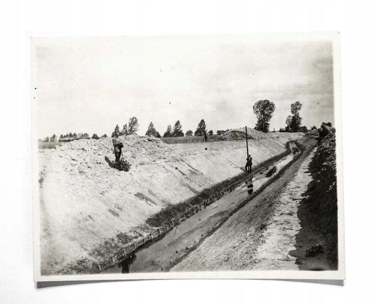 STARA FOTOGRAFIA - SPÓŁKA WODNA, REGULACJA MAŁEJ MOGILNICY, PODRZEWIE 1930