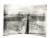 STARA FOTOGRAFIA - SPÓŁKA WODNA, REGULACJA MAŁEJ MOGILNICY, PODRZEWIE 1930
