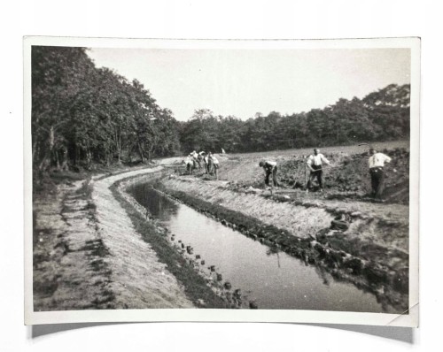STARA FOTOGRAFIA - SPÓŁKA WODNA, REGULACJA MAŁEJ MOGILNICY, PODRZEWIE 1930