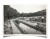 STARA FOTOGRAFIA - SPÓŁKA WODNA, REGULACJA MAŁEJ MOGILNICY, PODRZEWIE 1930