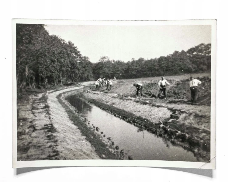 STARA FOTOGRAFIA - SPÓŁKA WODNA, REGULACJA MAŁEJ MOGILNICY, PODRZEWIE 1930
