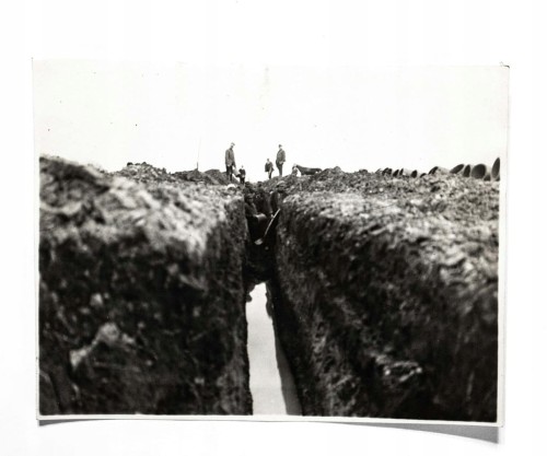 STARA FOTOGRAFIA - SPÓŁKA WODNA, REGULACJA MAŁEJ MOGILNICY, PODRZEWIE 1930