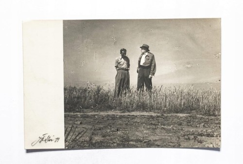 STARA POCZTÓWKA - MĘŻCZYŹNI NA POLU 1954