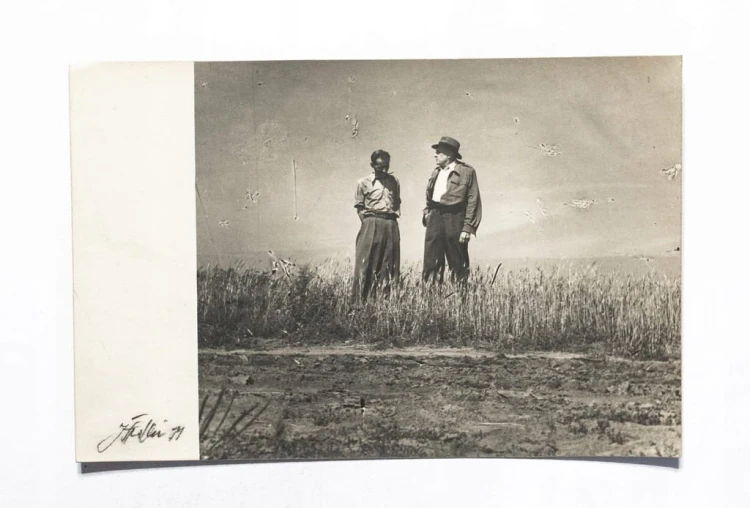 STARA POCZTÓWKA - MĘŻCZYŹNI NA POLU 1954