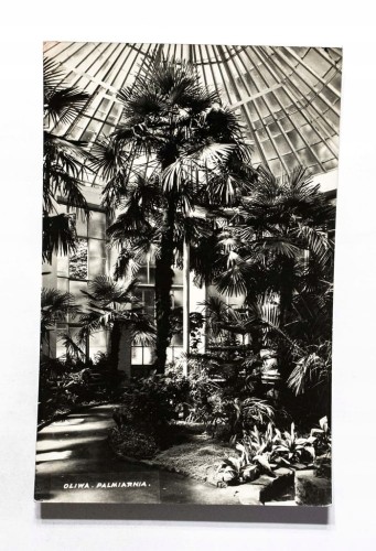 GDAŃSK, OLIWA - PALMIARNIA 1962