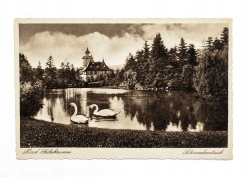 SZCZAWNO ZDRÓJ - PARK, STAW II RP