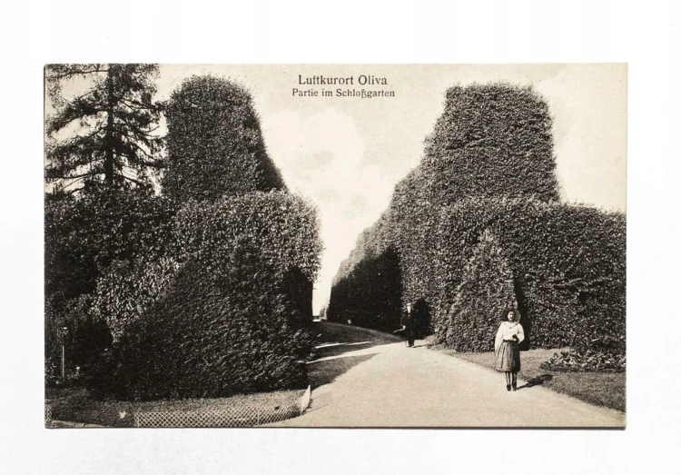 GDAŃSK / OLIWA - OGRÓD, PARK l. 20