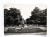 ŁÓDŹ - PARK SIENKIEWICZA 1962