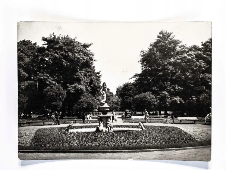 ŁÓDŹ - PARK SIENKIEWICZA 1962