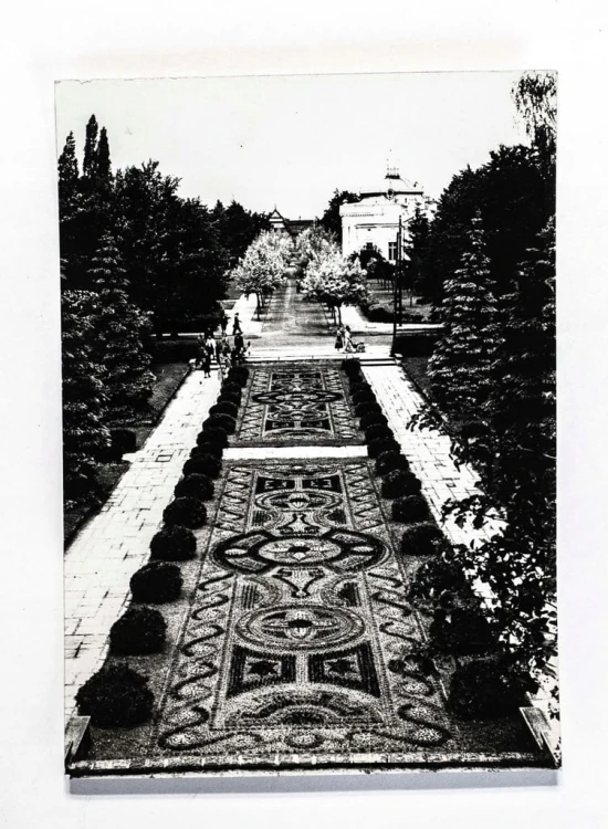 CIECHOCINEK - DYWAN KWIATOWY l. 70