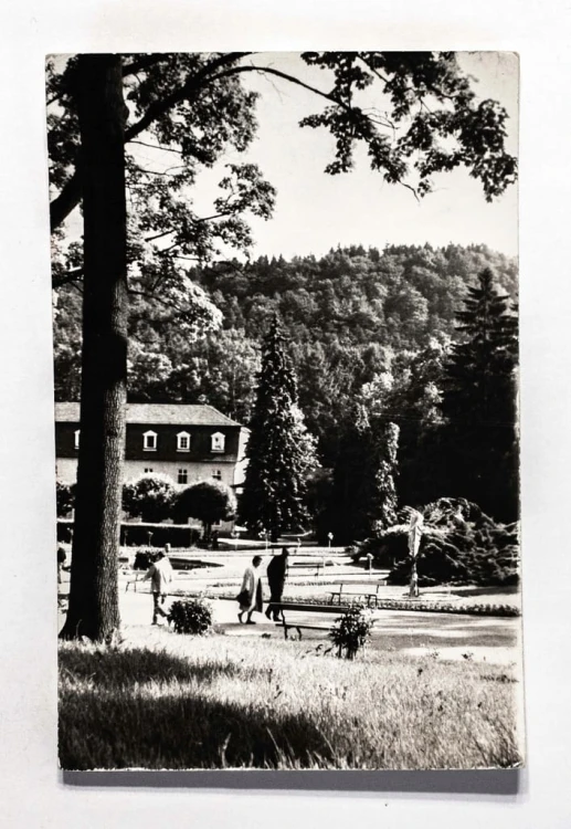 KUDOWA ZDRÓJ - PARK ZDROJOWY, GÓRA PARKOWA 1967