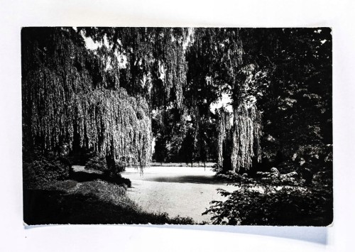 ŻYRARDÓW - PARK MIEJSKI l. 60