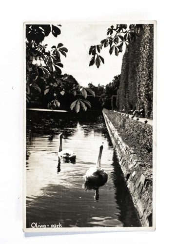 GDAŃSK, OLIWA - PARK l. 50