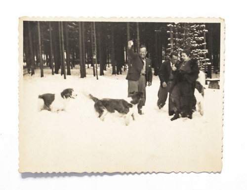 STARA FOTOGRAFIA - ZIMĄ W GÓRACH, PSY BERNARDYNY, ZAKOPANE 1935