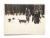 STARA FOTOGRAFIA - ZIMĄ W GÓRACH, PSY BERNARDYNY, ZAKOPANE 1935