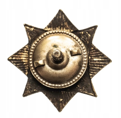 ODZNAKA HONOROWA POLSKI KOMITET OPIEKI NAD DZIECKIEM 1928