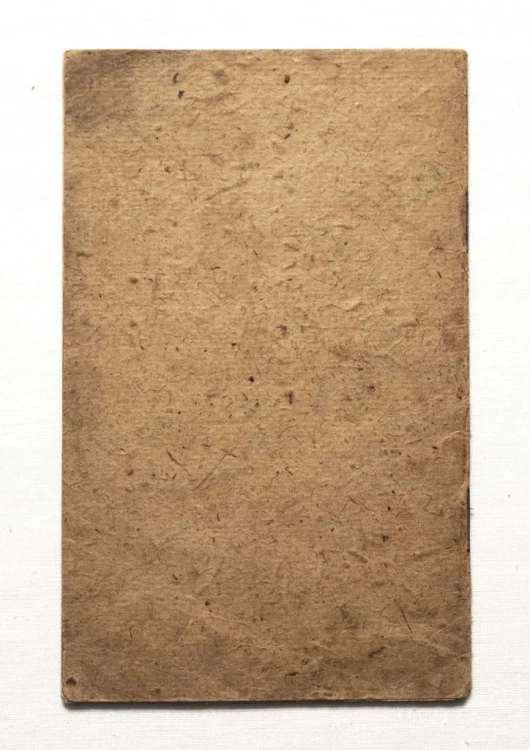 STARY DOKUMENT - CERTYFIKAT UBEZPIECZENIA, JAROCIN / POZNAŃ 1919