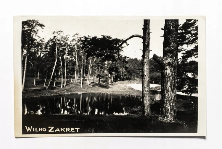 WILNO - ZAKRET, LAS, STAW II RP