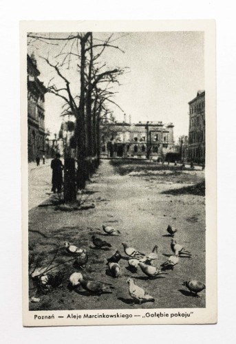 POZNAŃ - ALEJE MARCINKOWSKIEGO - GOŁĘBIE POKOU (zniszczony Poznań)