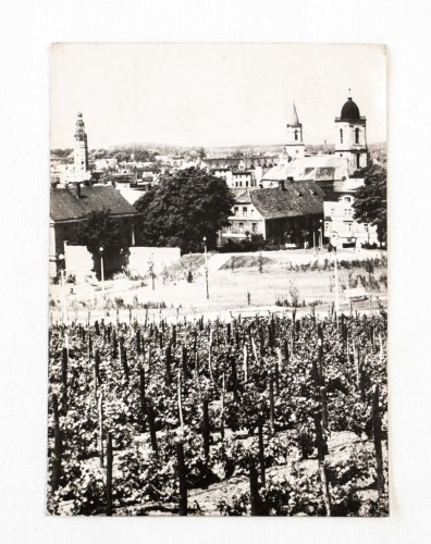 ZIELONA GÓRA - WIDOK OGÓLNY, WINNICA l. 60