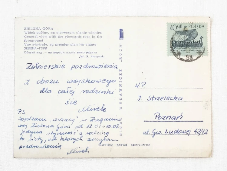 ZIELONA GÓRA - WIDOK OGÓLNY, WINNICA l. 60
