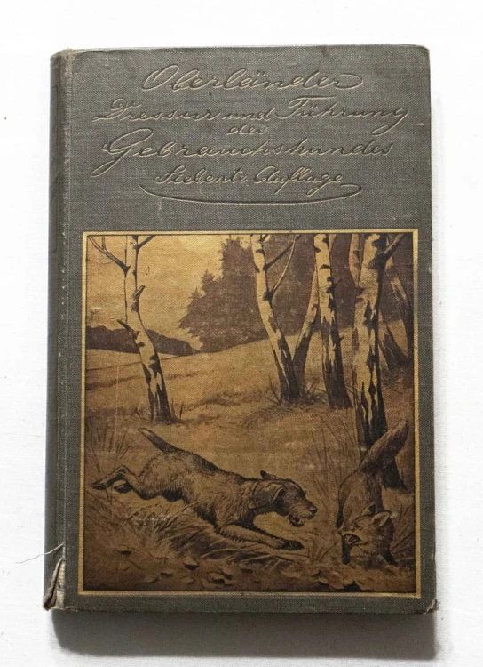 STARA KSIĄŻKA NIEMIECKA O PSACH, DĘBNO (NEUDAMM) 1912