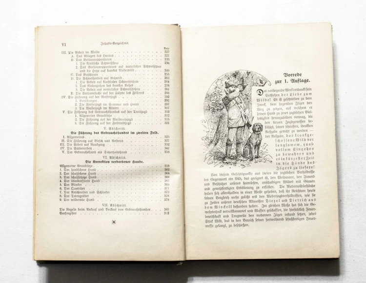 STARA KSIĄŻKA NIEMIECKA O PSACH, DĘBNO (NEUDAMM) 1912