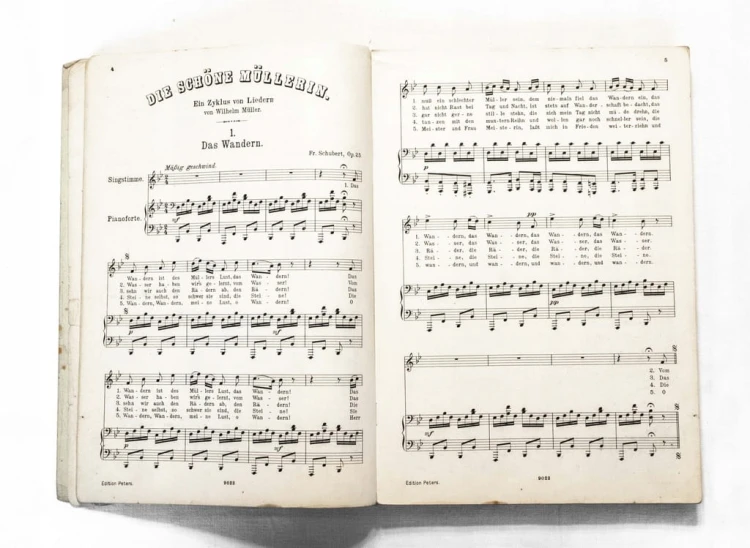 STARA KSIĄŻKA - NUTY NIEMIECKIE, SCHUBERT, GESANGE ALBUM BAND I