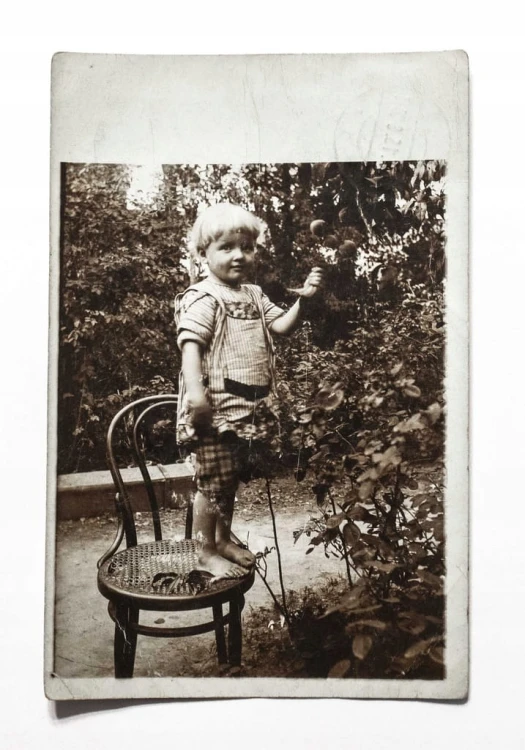 STARA FOTOGRAFIA - MAŁE DZIECKO W OGRODZIE, GNIEZNO 1915