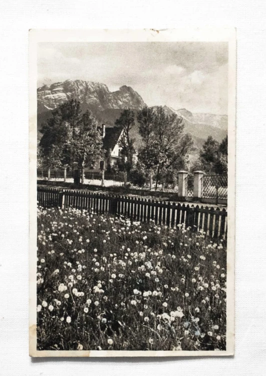 ZAKOPANE - WIOSNA W GÓRACH 1956