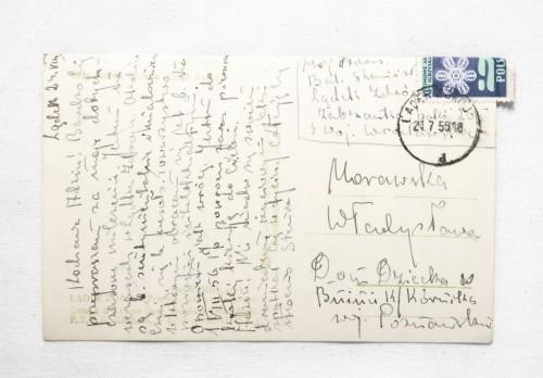 LĄDEK ZDRÓJ - FRAGMENT PARKU ZDROJOWEGO 1956