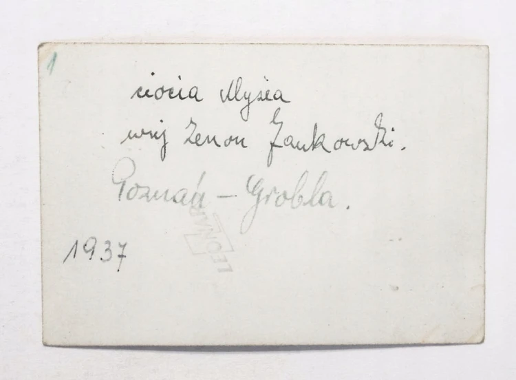 STARA FOTOGRAFIA - RODZICE Z DZIECKIEM W WÓZKU, POZNAŃ GROBLA 1937