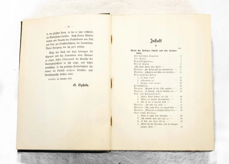 STARA KSIĄŻKA, TEKSTY J. BRAHMSA - BRAHMS TEXTE 1898 (pierwsze wydanie)