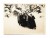 STARA FOTOGRAFIA - ZIMĄ W GÓRACH, ZAKOPANE - DOLINA BIAŁEGO 1935