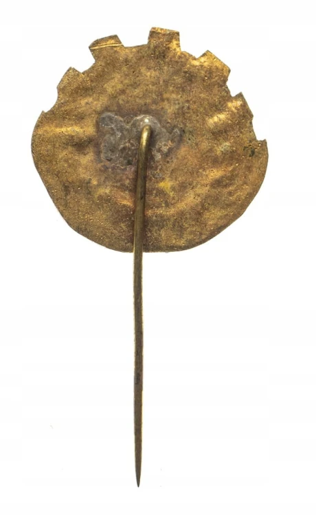 ODZNAKA ZASŁUŻONY PRACOWNIK HCP POZNAŃ