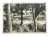 STARA POCZTÓWKA WILNO - PARK ZAKRET (VINGIS) 1956