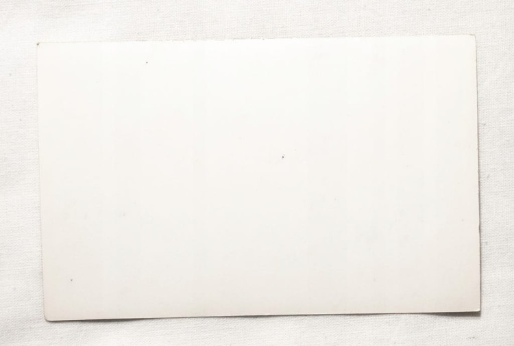 ROGALIN - PAŁAC l. 50/60