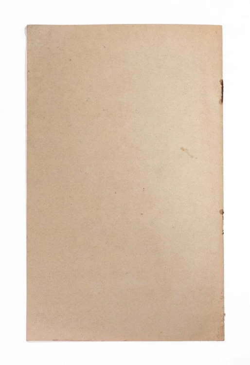 STARA KSIĄŻKA KONGRES GEOGRAFICZNY EN VILLE 1934