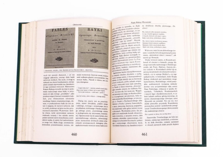 STARA KSIĄŻKA HISTORIA LITERATURY POLSKIEJ 1979
