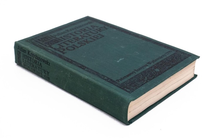 STARA KSIĄŻKA HISTORIA LITERATURY POLSKIEJ 1979