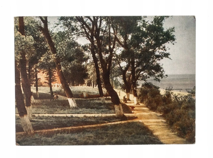 REWAL - PROMENADA NAD MORZEM l. 60
