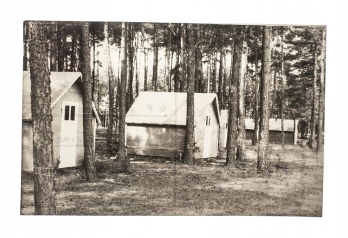 RUDNO - OBÓZ, LAS 1963