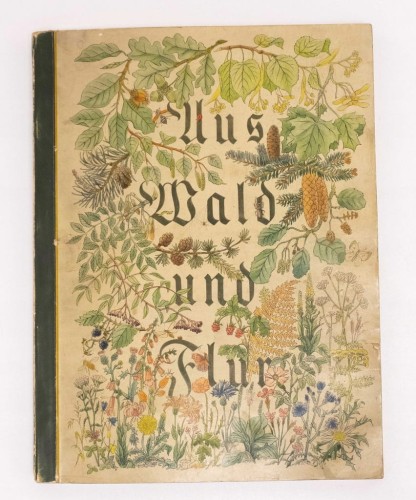 Aus Wald und Flur - Las i Łąka Rośliny 1937