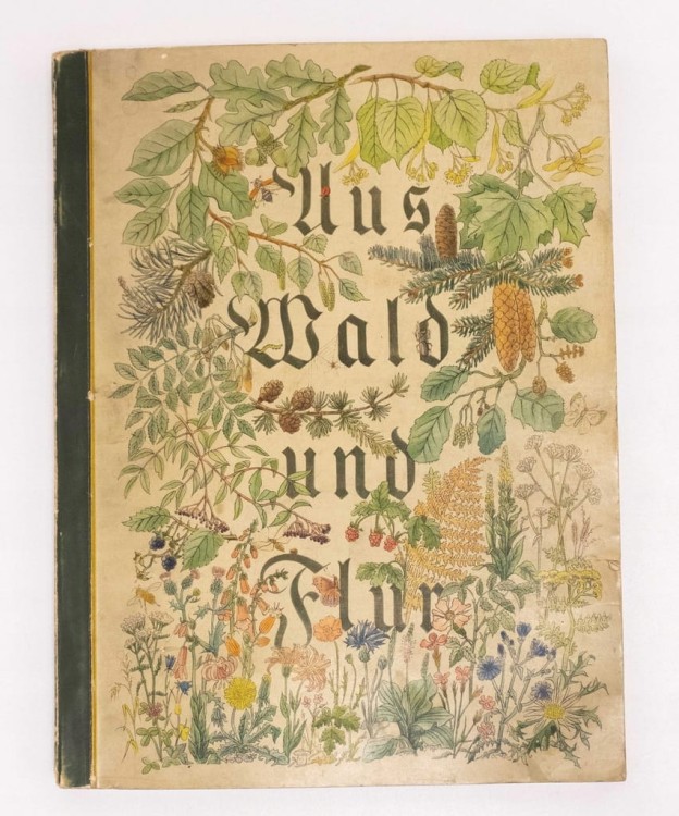 Aus Wald und Flur - Las i Łąka Rośliny 1937