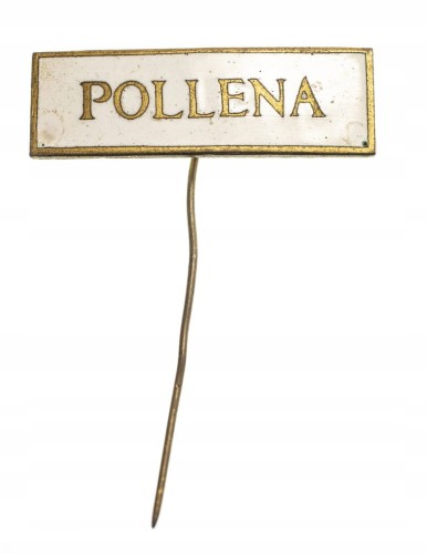 ODZNAKA WPINKA POLLENA